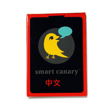 Load image into Gallery viewer, Mandarin Jumpstarter - For Beginners: Mandarin with English